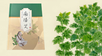 【行業(yè)資訊】國(guó)內(nèi)首部艾草專著《南陽艾》，在南陽新書首發(fā)！